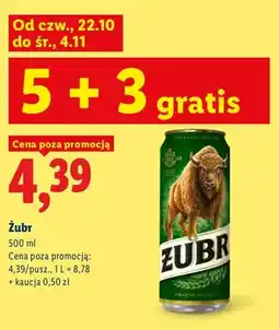 Lidl Piwo Żubr oferta