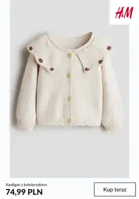 Kardigan z kołnierzykiem H & M