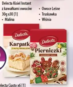 DUO-TES Delecta Kisiel Instant z kawałkami owoców oferta