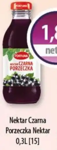 DUO-TES Nektar Czarna Porzeczka oferta