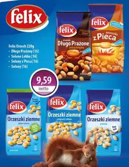 DUO-TES Felix Orzech oferta