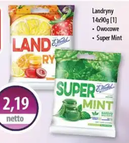 DUO-TES Landryny E Wedel oferta
