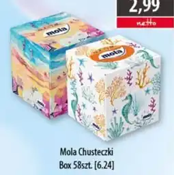 DUO-TES Mola Chusteczki oferta