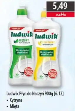 DUO-TES Ludwik Płyn do Naczyń oferta