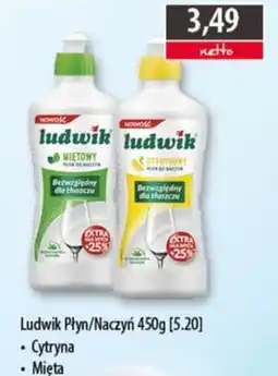 DUO-TES Ludwik Płyn/Naczyń oferta