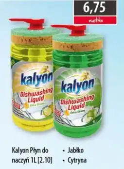 DUO-TES Kalyon Płyn do naczyń oferta