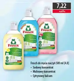 DUO-TES Frosch do mycia naczyń oferta