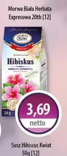 DUO-TES Morwa Biała Herbata Expressowa oferta