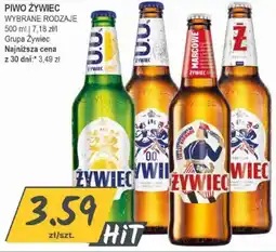 Słoneczko Piwo Żywiec oferta