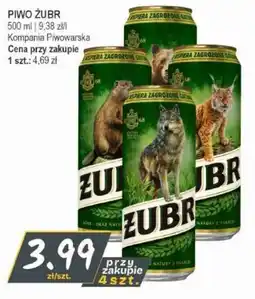 Słoneczko Piwo Żubr oferta