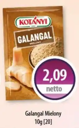 DUO-TES Galangal Mielony oferta