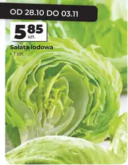 Odido Salata lodowa oferta