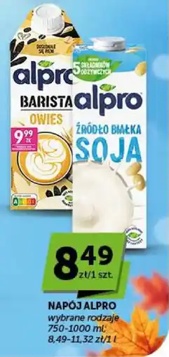 Groszek Napój Alpro oferta
