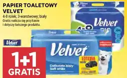 Stokrotka Papier toaletowy Velvet oferta