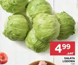 Stokrotka Sałata Lodowa oferta