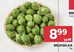 Stokrotka Brukselka oferta