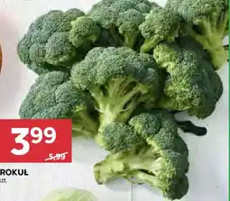 Stokrotka Brokuł oferta