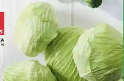 Stokrotka Kapusta oferta