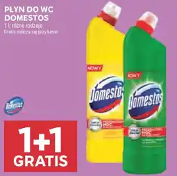 Stokrotka Płyn do WC Domestos oferta