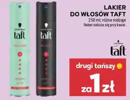 Stokrotka Lakier do włosów Taft oferta