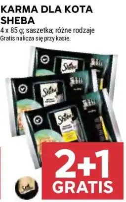 Stokrotka Karma dla kota Sheba oferta