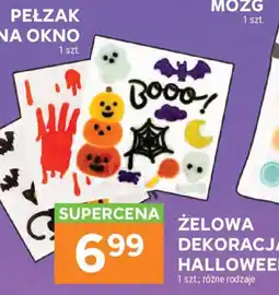 Stokrotka Pełzak na Okno oferta