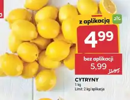 Stokrotka Cytryny oferta