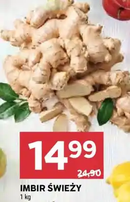 Stokrotka Imbir Świeży oferta