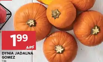 Stokrotka Dynia jadalna gomez oferta
