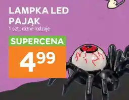 Stokrotka Lampka LED Pająk oferta