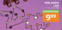 Stokrotka Girlanda led oferta
