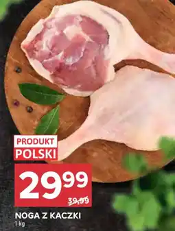 Stokrotka NOGA Z KACZKI oferta