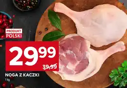 Stokrotka Noga z kaczki oferta