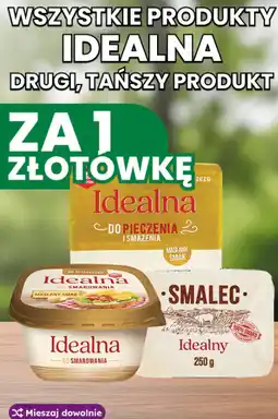 Dino Wszystkie produkty Idealna oferta