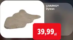 Lidl LIVARNO Dywan oferta
