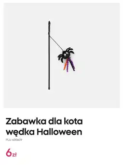Pepco Zabawka dla kota wędka Halloween oferta