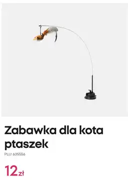 Pepco Zabawka dla kota ptaszek oferta