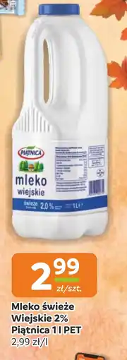 Gama Mleko Piątnica oferta