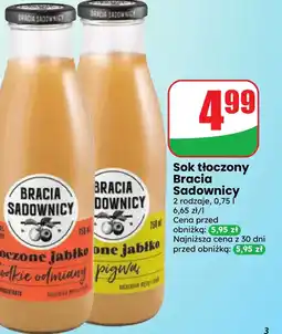 Dino Sok Bracia Sadownicy oferta