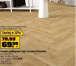 OBI Panele podłogowe Pistachio oferta