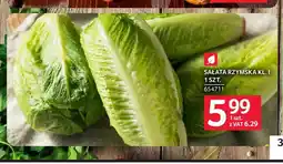 Selgros Sałata rzymska kl. I oferta