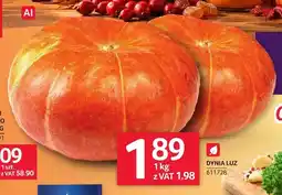 Selgros Dynia luzem oferta