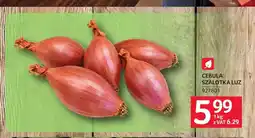 Selgros Cebula szalotka oferta