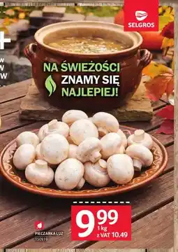 Selgros Pieczarki luzem oferta
