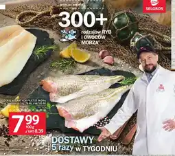 Selgros Dorsz atlantycki filet ze skórą oferta