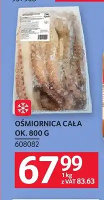 Selgros Ośmiornica cała oferta