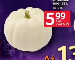 Selgros Dynia Baby Boo oferta