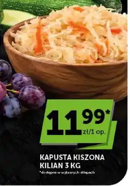 ABC Kapusta kiszona Kilian oferta