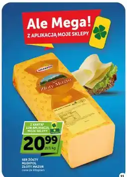 ABC Ser żółty Złoty Mazur Mlekpol oferta