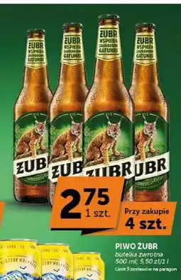 ABC Piwo Żubr oferta